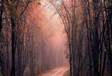 曼联主场惊险逆转，拉什福德完成绝杀任务