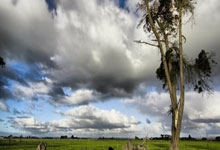 勇士锋线伊戈达拉伤愈归队，备战对阵湖人的较量