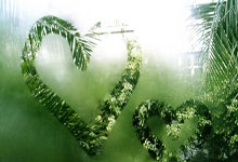 东契奇碾压曼巴，独行侠主场击败湖人扬威只身