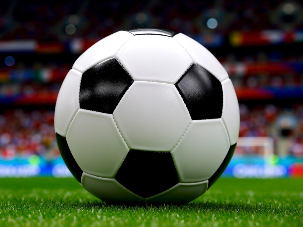 在线投注平台-美男队蝉联混合泳冠军六连冠，男子混合泳亚军  第2张